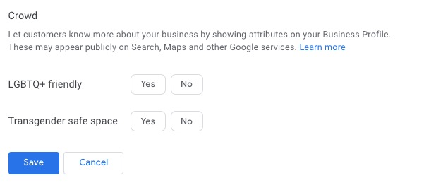 Google Business Profile Attributes - Subjective Attributes